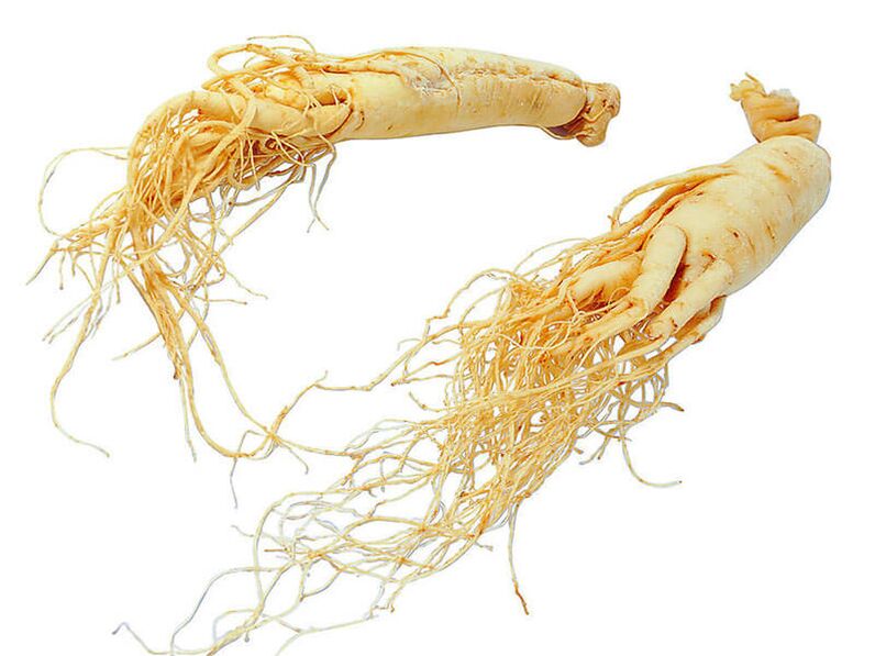 ρίζα ginseng για ισχύ